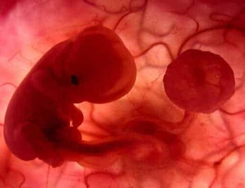 Memoria intrauterina del nacimiento ¿Miedo al abandono?